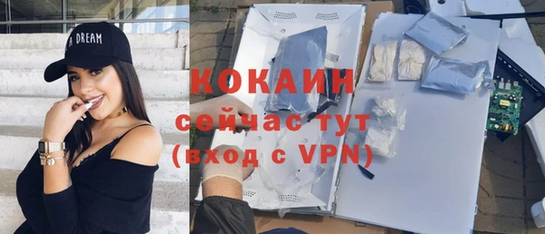 прущие грибы Балабаново