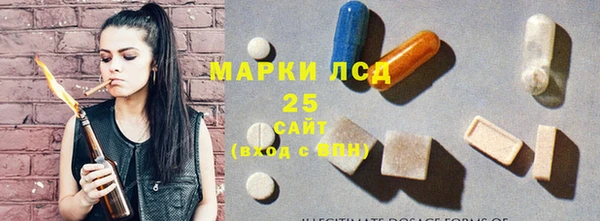 прущие грибы Балабаново