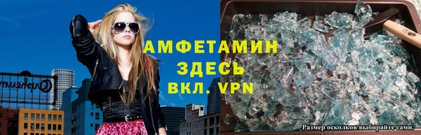 прущие грибы Балабаново