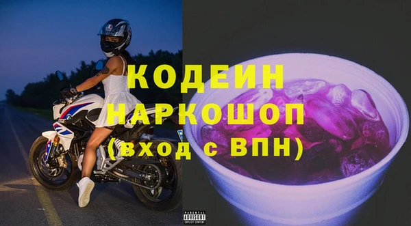 прущие грибы Балабаново