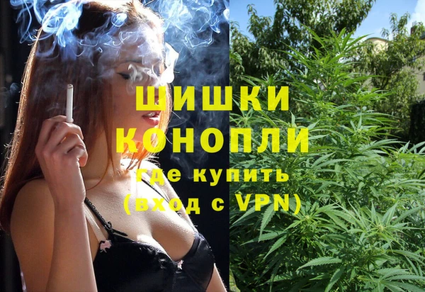 прущие грибы Балабаново