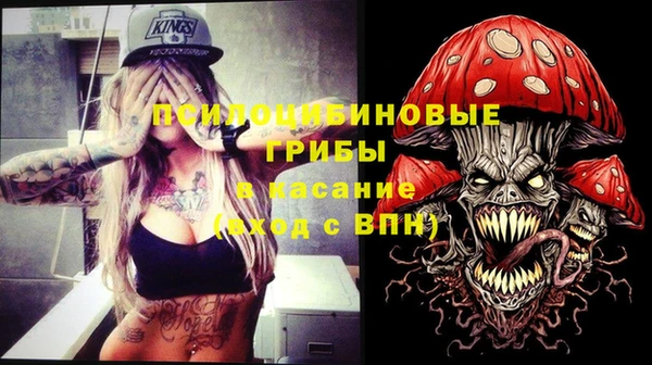 прущие грибы Балабаново