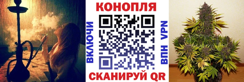 закладка  Лермонтов  Бошки Шишки VHQ 